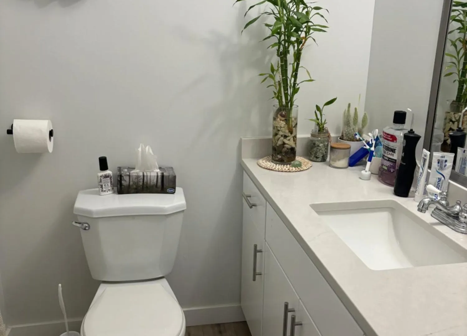 Apartment Ferienwohnung Cosy Living: Your Private Urban Retreat Vancouver